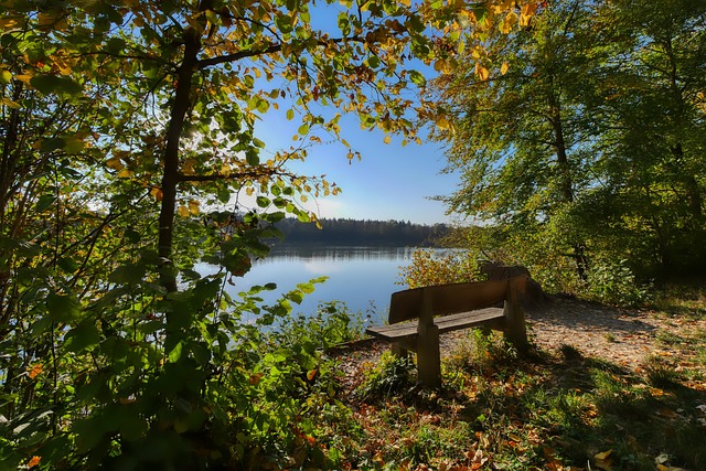 AC米兰为 AC米兰为