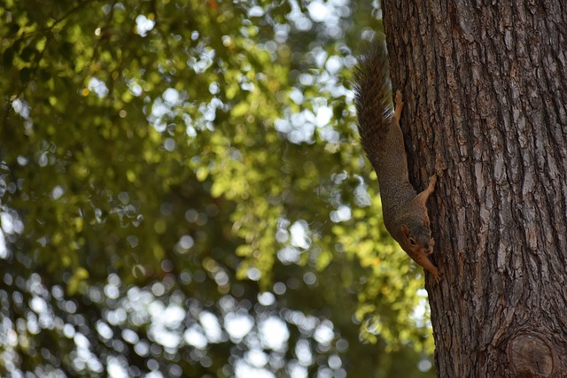 的巨大压力 的巨大压力