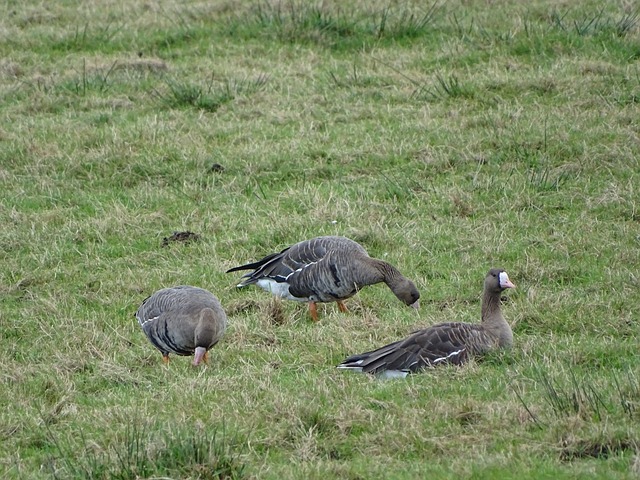 引发争议 引发争议