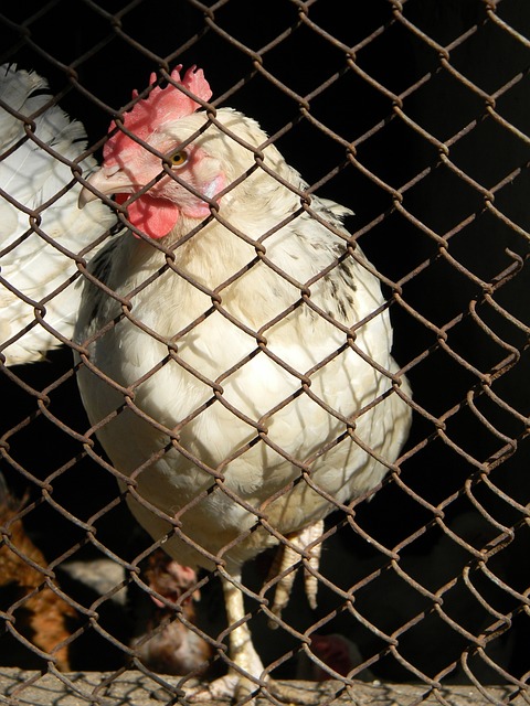 场的表现 场的表现