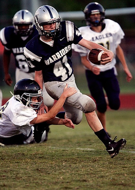 他带领葡萄 他带领葡萄